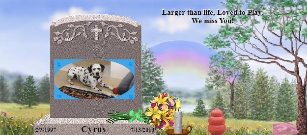 Cyrus's Rainbow Bridge Pet Loss Memorial Residency Image