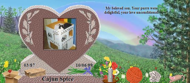 Cajun Spice's Rainbow Bridge Pet Loss Memorial Residency Image