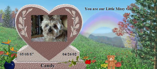 Candy's Rainbow Bridge Pet Loss Memorial Residency Image