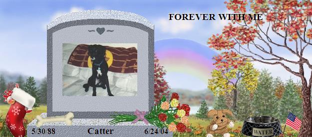 Catter's Rainbow Bridge Pet Loss Memorial Residency Image