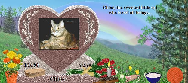 Chloe's Rainbow Bridge Pet Loss Memorial Residency Image