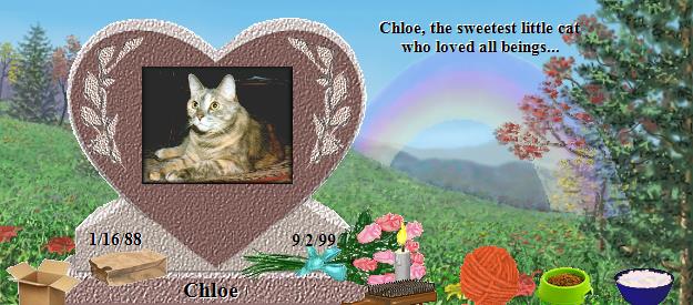 Chloe's Rainbow Bridge Pet Loss Memorial Residency Image