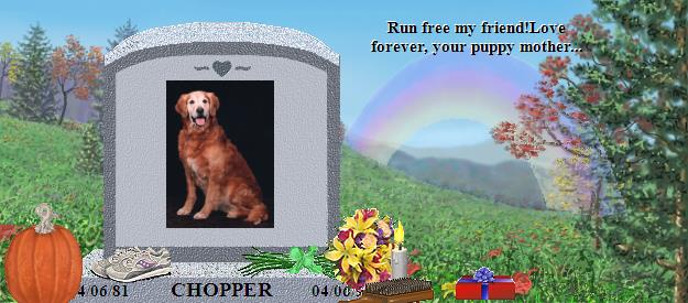 CHOPPER's Rainbow Bridge Pet Loss Memorial Residency Image