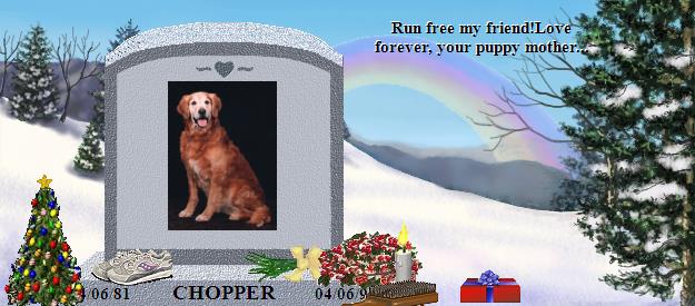 CHOPPER's Rainbow Bridge Pet Loss Memorial Residency Image