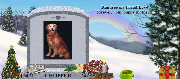 CHOPPER's Rainbow Bridge Pet Loss Memorial Residency Image