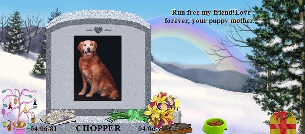 CHOPPER's Rainbow Bridge Pet Loss Memorial Residency Image