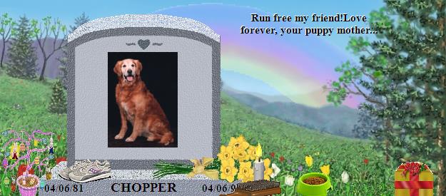CHOPPER's Rainbow Bridge Pet Loss Memorial Residency Image