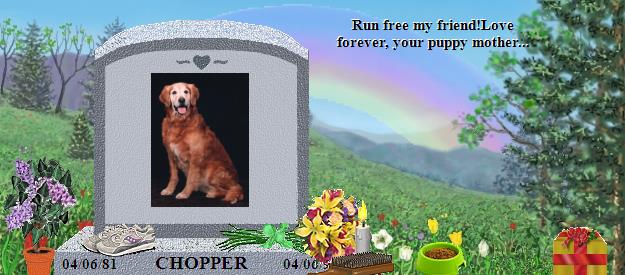 CHOPPER's Rainbow Bridge Pet Loss Memorial Residency Image