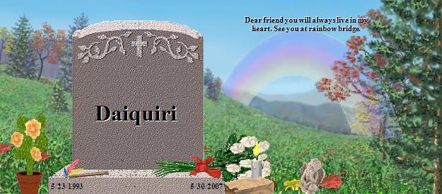 Daiquiri's Rainbow Bridge Pet Loss Memorial Residency Image