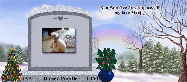 Daisey Poodle's Rainbow Bridge Pet Loss Memorial Residency Image