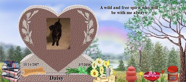 Daisy's Rainbow Bridge Pet Loss Memorial Residency Image