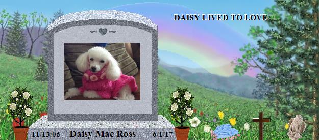 Daisy Mae Ross's Rainbow Bridge Pet Loss Memorial Residency Image