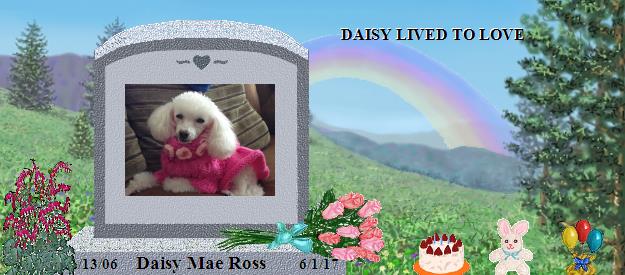 Daisy Mae Ross's Rainbow Bridge Pet Loss Memorial Residency Image