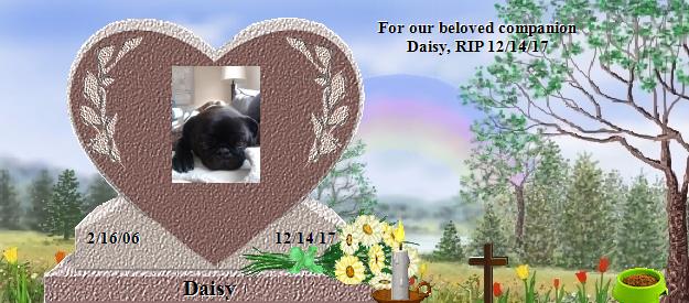 Daisy's Rainbow Bridge Pet Loss Memorial Residency Image