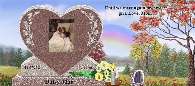 Daisy Mae's Rainbow Bridge Pet Loss Memorial Residency Image