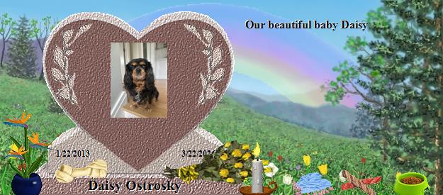 Daisy Ostrosky's Rainbow Bridge Pet Loss Memorial Residency Image
