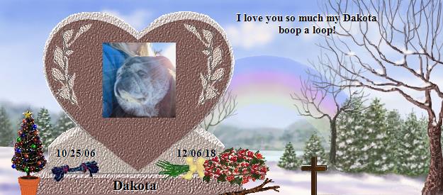 Dakota's Rainbow Bridge Pet Loss Memorial Residency Image