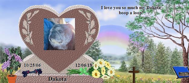 Dakota's Rainbow Bridge Pet Loss Memorial Residency Image