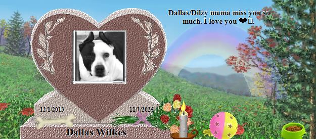 Dallas Wilkes's Rainbow Bridge Pet Loss Memorial Residency Image