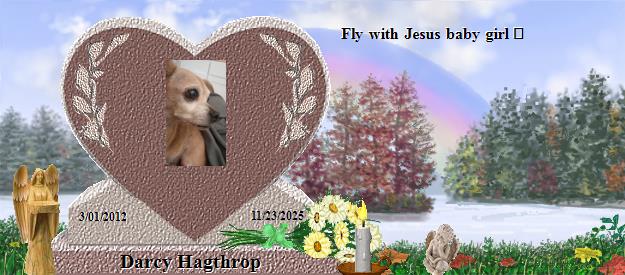 Darcy Hagthrop's Rainbow Bridge Pet Loss Memorial Residency Image