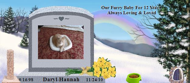 Daryl-Hannah's Rainbow Bridge Pet Loss Memorial Residency Image