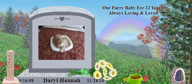 Daryl-Hannah's Rainbow Bridge Pet Loss Memorial Residency Image