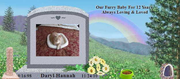 Daryl-Hannah's Rainbow Bridge Pet Loss Memorial Residency Image