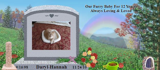 Daryl-Hannah's Rainbow Bridge Pet Loss Memorial Residency Image