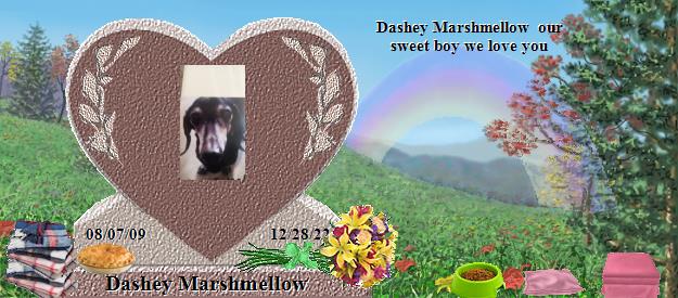 Dashey Marshmellow's Rainbow Bridge Pet Loss Memorial Residency Image