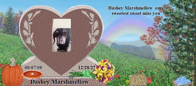 Dashey Marshmellow's Rainbow Bridge Pet Loss Memorial Residency Image