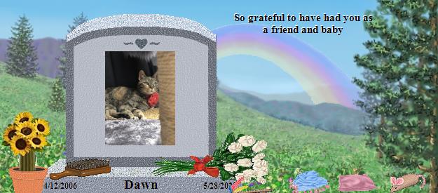 Dawn's Rainbow Bridge Pet Loss Memorial Residency Image