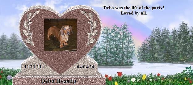Debo Heaslip's Rainbow Bridge Pet Loss Memorial Residency Image