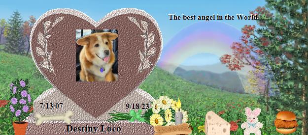 Destiny Loco's Rainbow Bridge Pet Loss Memorial Residency Image