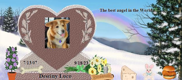 Destiny Loco's Rainbow Bridge Pet Loss Memorial Residency Image