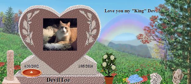 DevilToe's Rainbow Bridge Pet Loss Memorial Residency Image