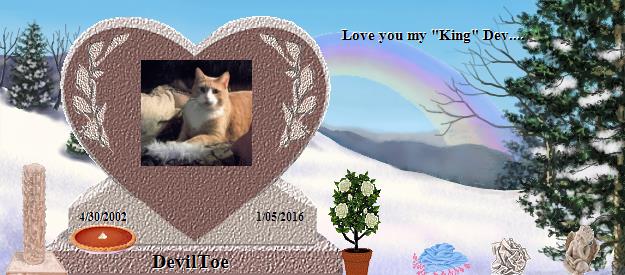 DevilToe's Rainbow Bridge Pet Loss Memorial Residency Image