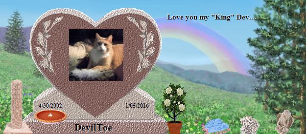 DevilToe's Rainbow Bridge Pet Loss Memorial Residency Image