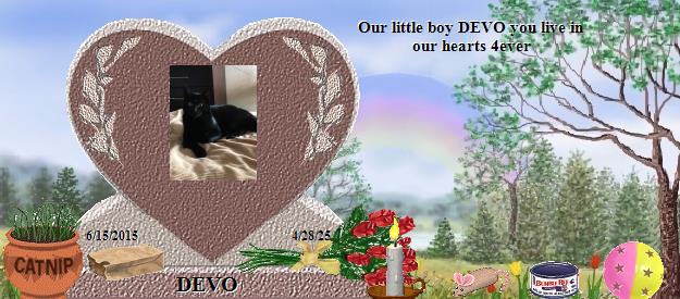 DEVO's Rainbow Bridge Pet Loss Memorial Residency Image
