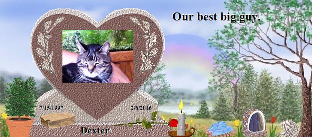 Dexter's Rainbow Bridge Pet Loss Memorial Residency Image