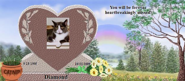 Diamond's Rainbow Bridge Pet Loss Memorial Residency Image