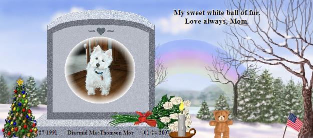 Diarmid MacThomson Mor's Rainbow Bridge Pet Loss Memorial Residency Image