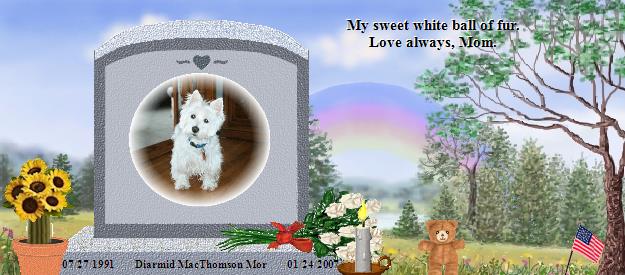 Diarmid MacThomson Mor's Rainbow Bridge Pet Loss Memorial Residency Image