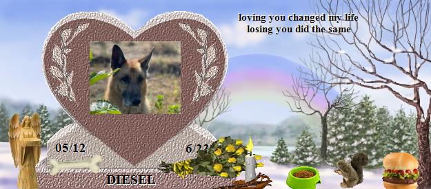 DIESEL's Rainbow Bridge Pet Loss Memorial Residency Image