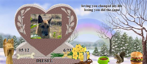 DIESEL's Rainbow Bridge Pet Loss Memorial Residency Image