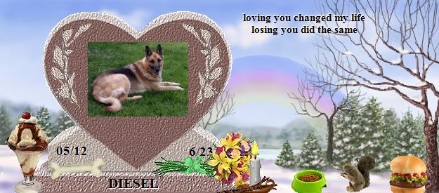 DIESEL's Rainbow Bridge Pet Loss Memorial Residency Image