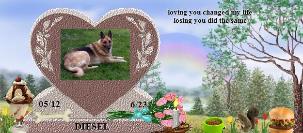DIESEL's Rainbow Bridge Pet Loss Memorial Residency Image