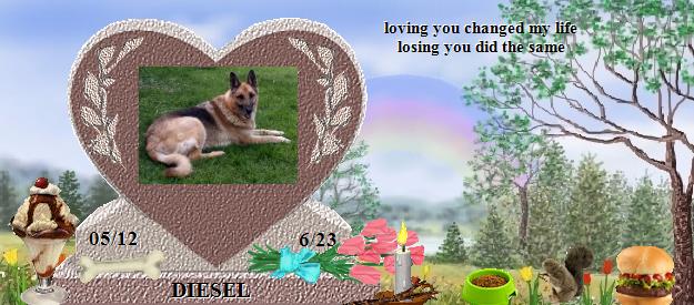 DIESEL's Rainbow Bridge Pet Loss Memorial Residency Image