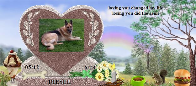 DIESEL's Rainbow Bridge Pet Loss Memorial Residency Image