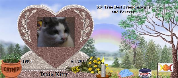 Dixie-Kitty's Rainbow Bridge Pet Loss Memorial Residency Image