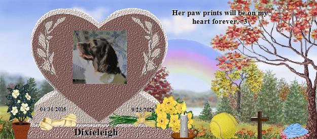 Dixieleigh's Rainbow Bridge Pet Loss Memorial Residency Image